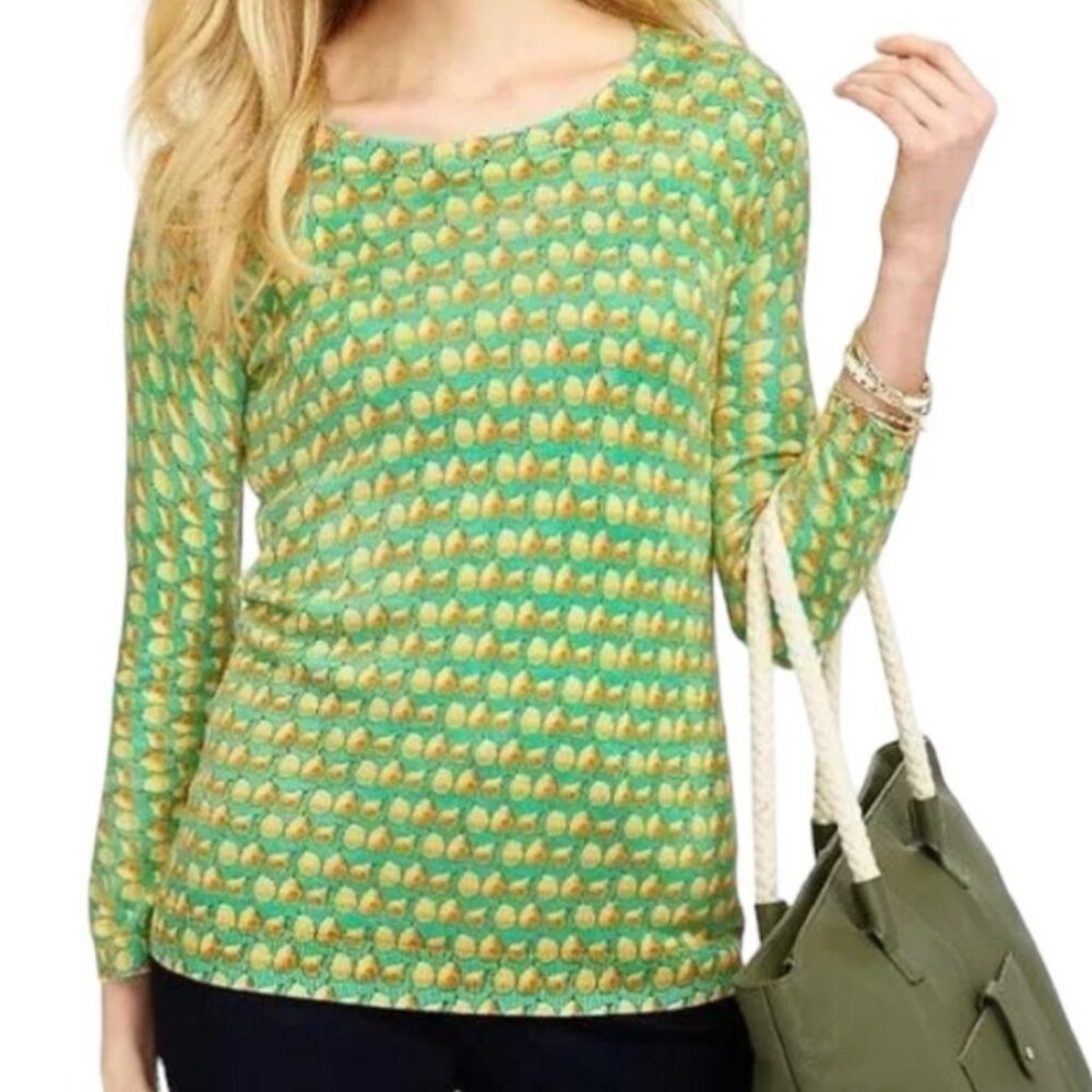 Twee Pear Pattern Sweater Aqua Yellow Petite 3X
